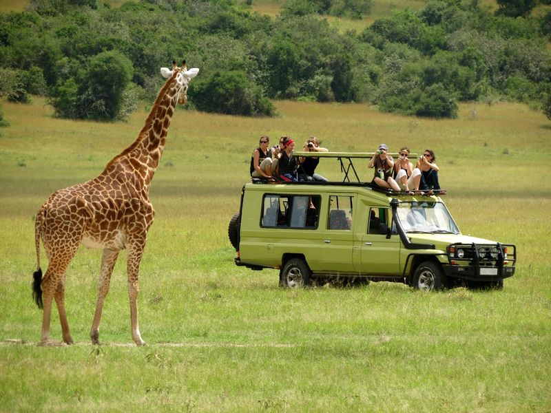 3 Days Murchison Big 5 Wildlife Safari