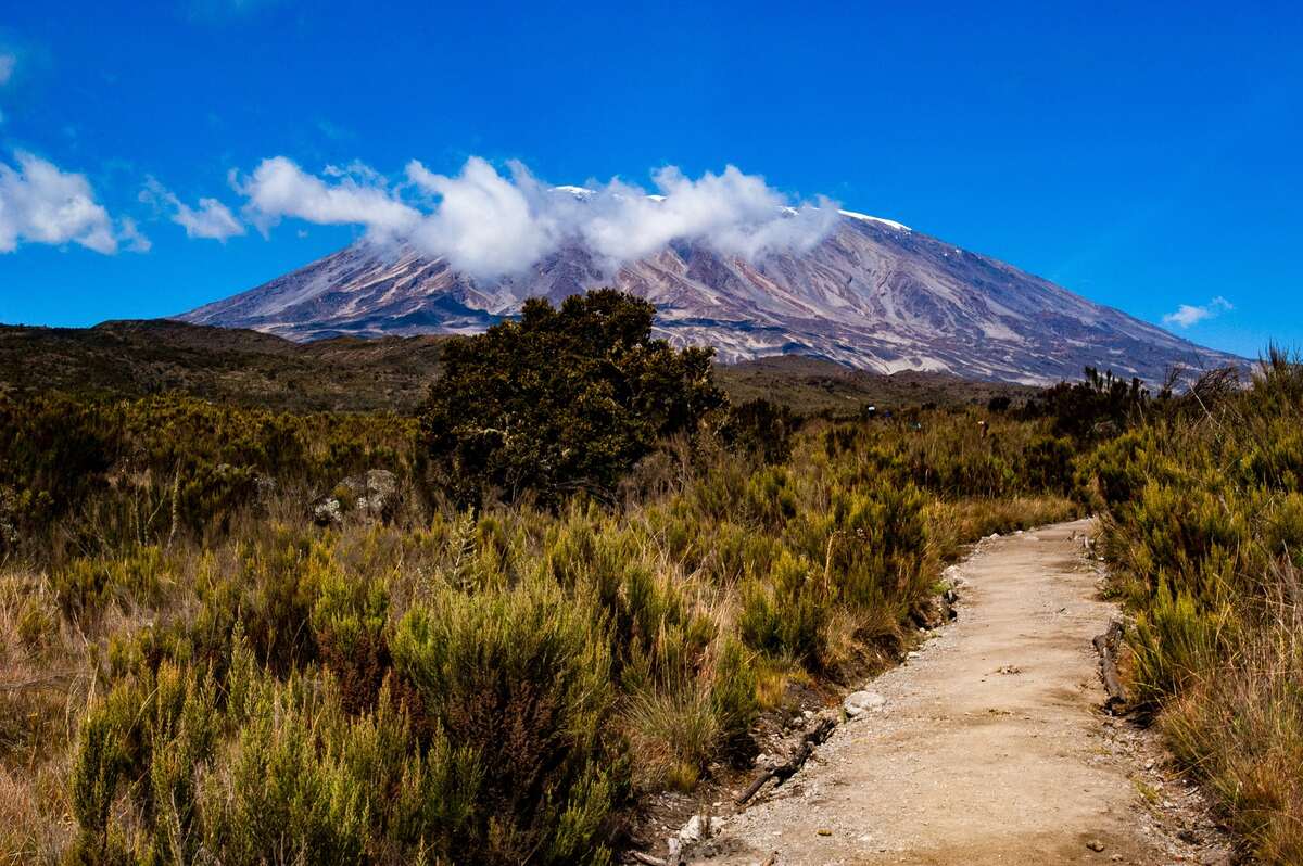 Mt Kilimanjaro 3