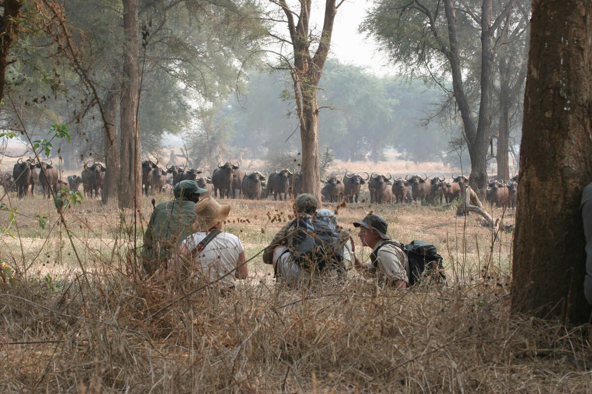 Best 2 day Serengeti and Ngorongoro short safari