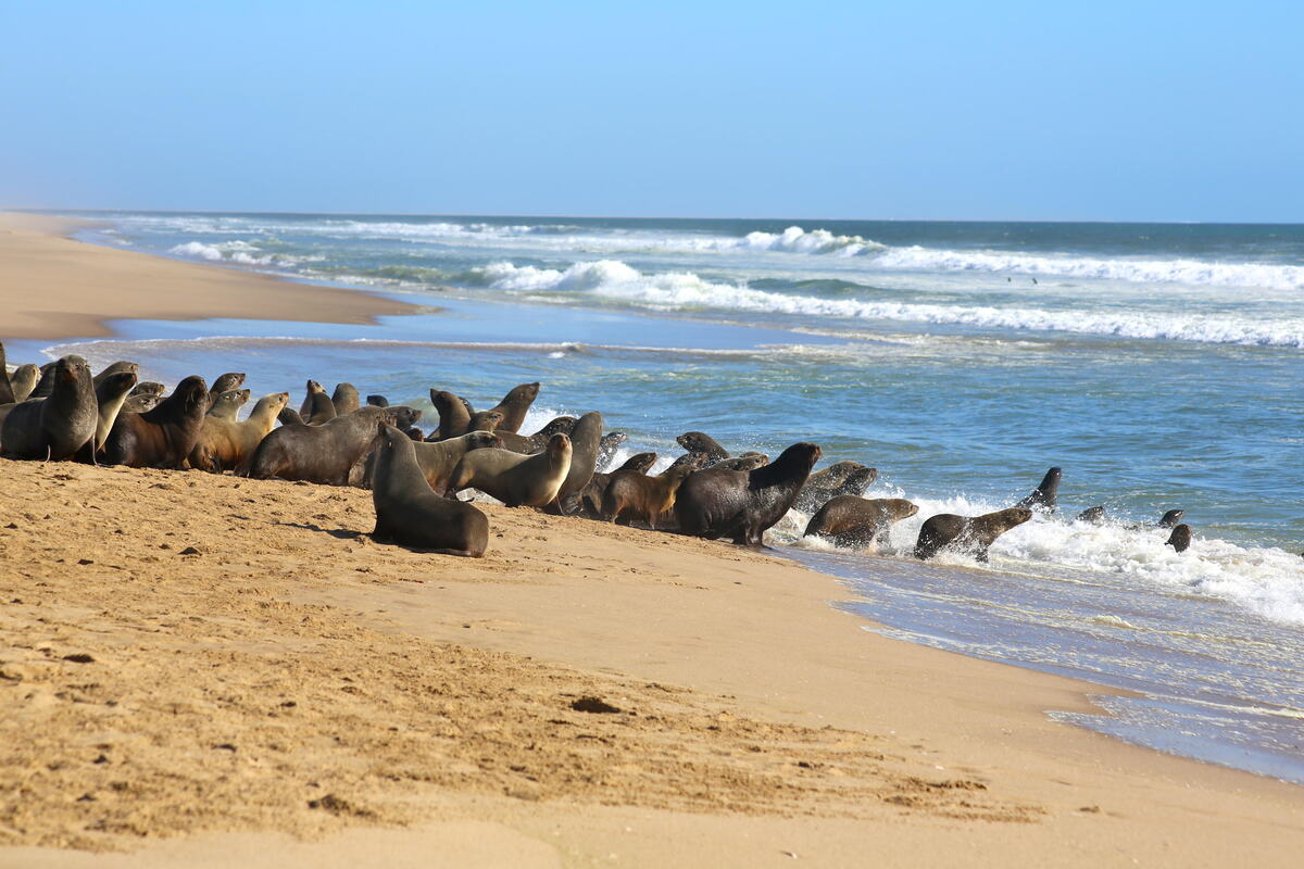 Top 12 day East Africa luxury wildlife itinerary