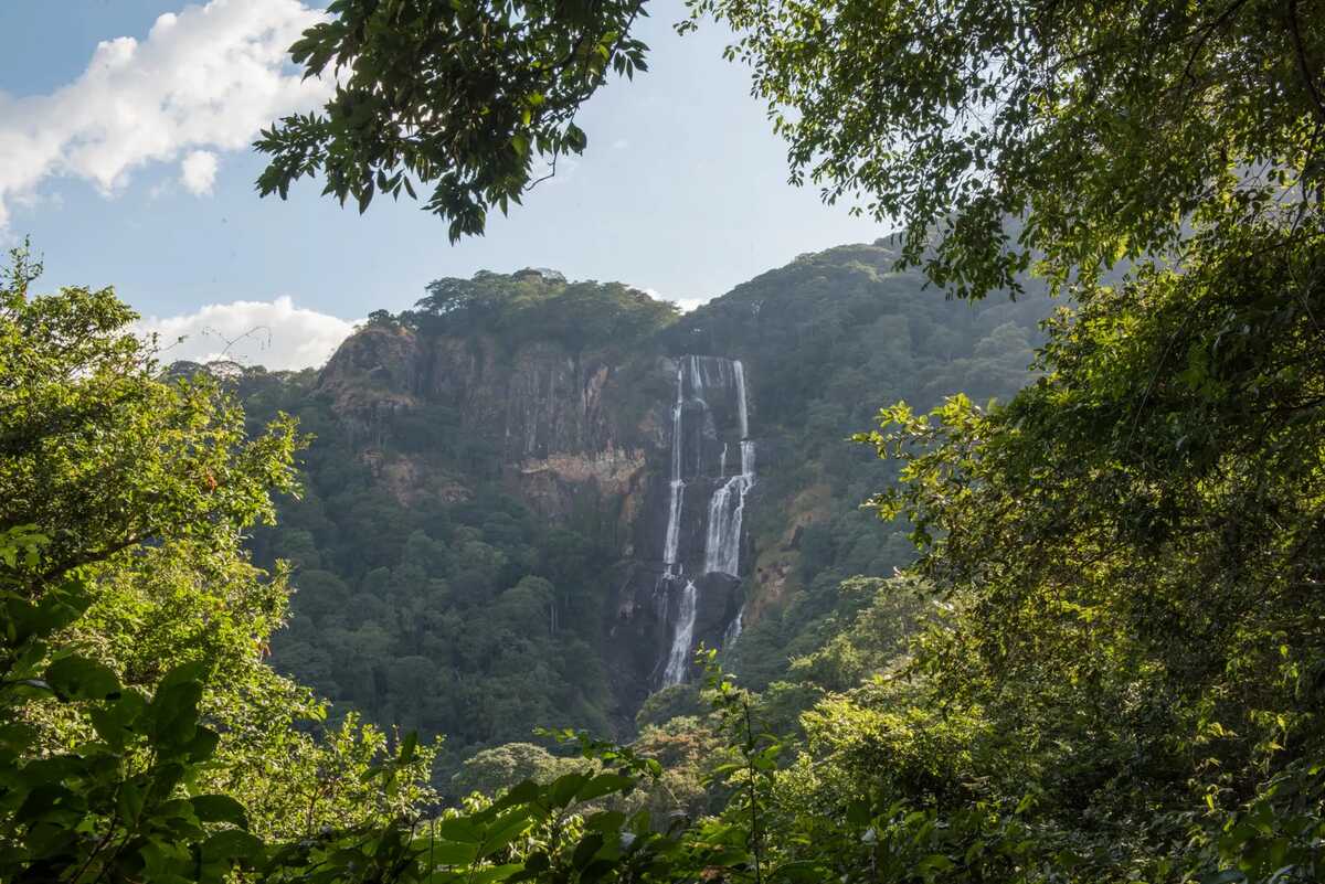 udzungwa_waterfall
