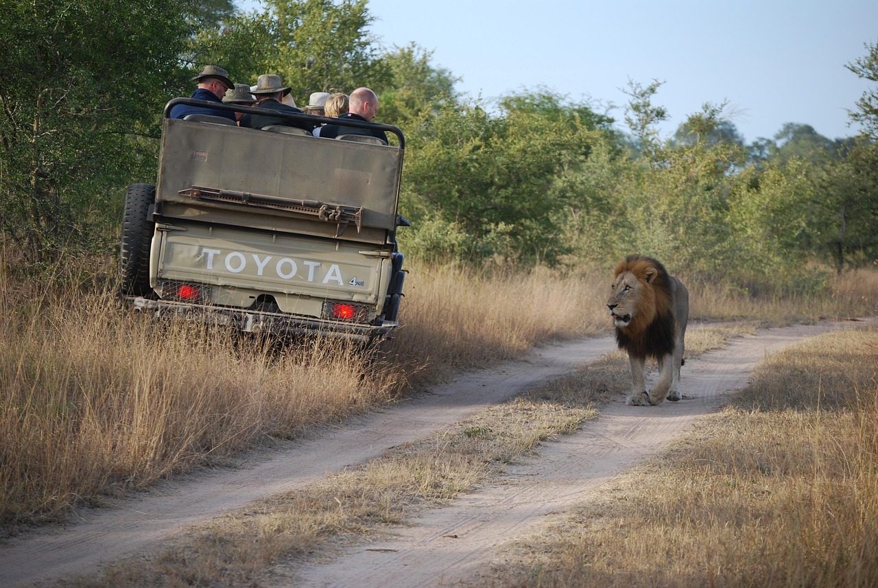 Itinerary – 2 Days Tanzania Group Safari from Arusha, group safaris and private safaris in Tanzania