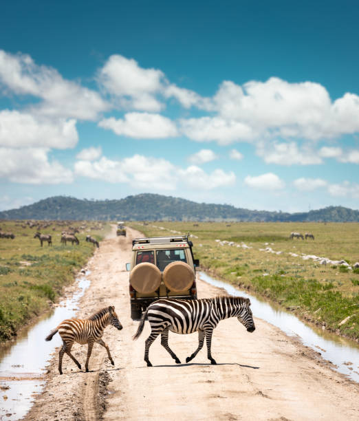 Do I need a visa to visit Tanzania?