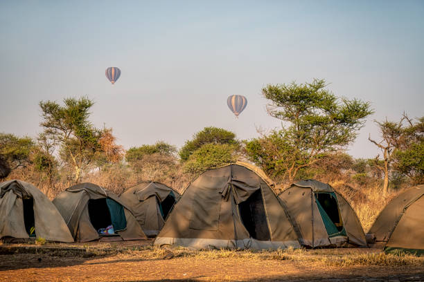 budget camping safaris