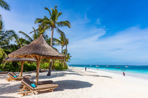 Kendwa beach in  Unguja aka Zanzibar Island Tanzania East Africa