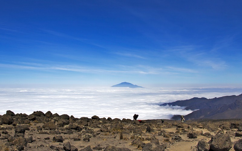 7 Days Kilimanjaro Shira Route