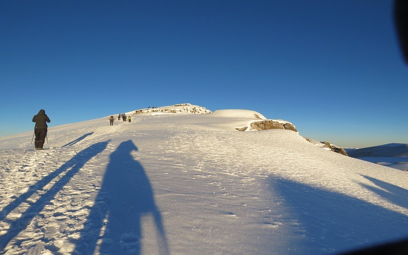 7 Days Rongai Route Kilimanjaro