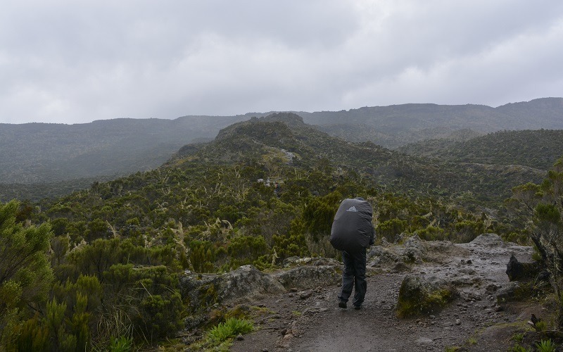 8 Days Kilimanjaro Machame Route Group