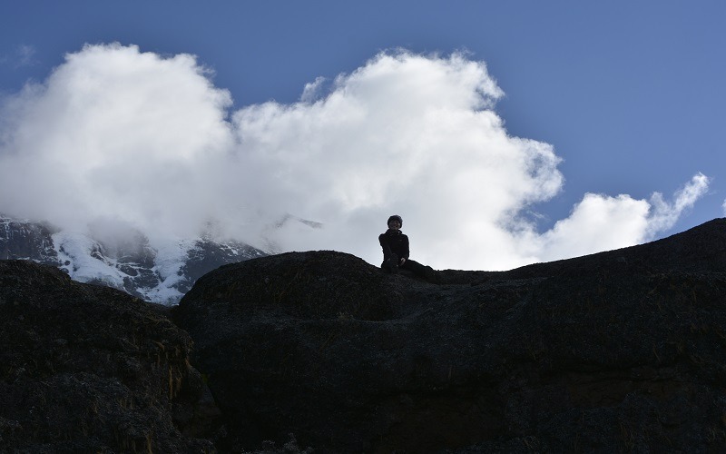 Affordable 8 Days Kilimanjaro Lemosho