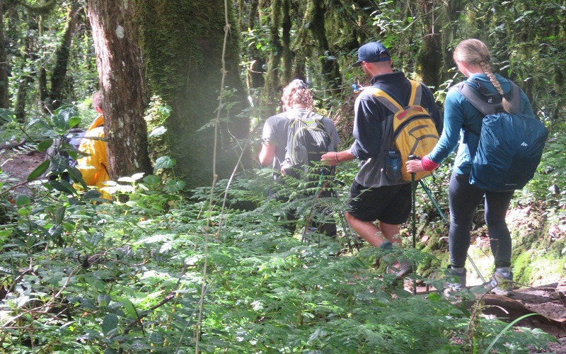 7 Days Machame Route Trek Price from Arusha