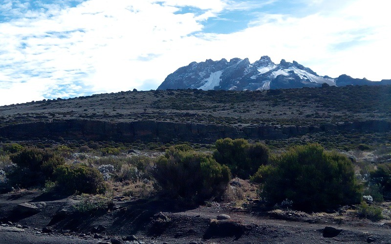 7 Days Rongai Route Kilimanjaro