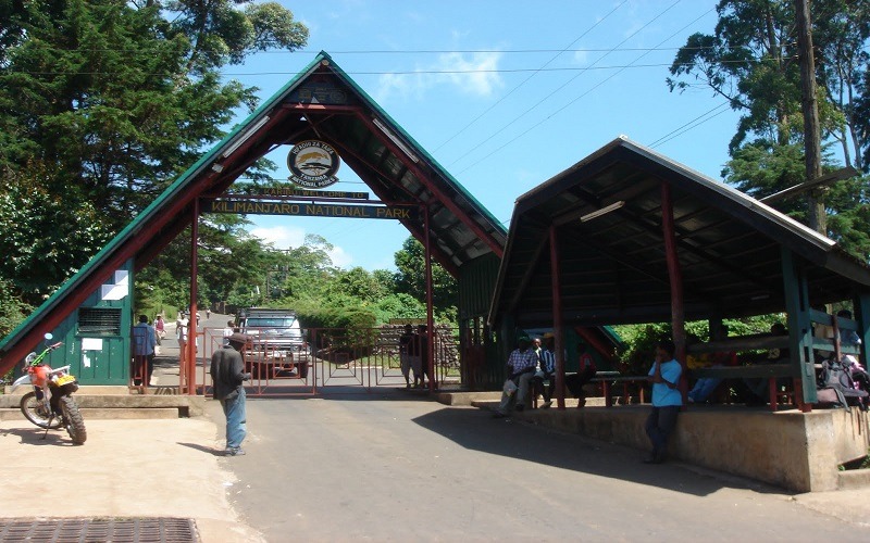 5 Days Kilimanjaro Marangu