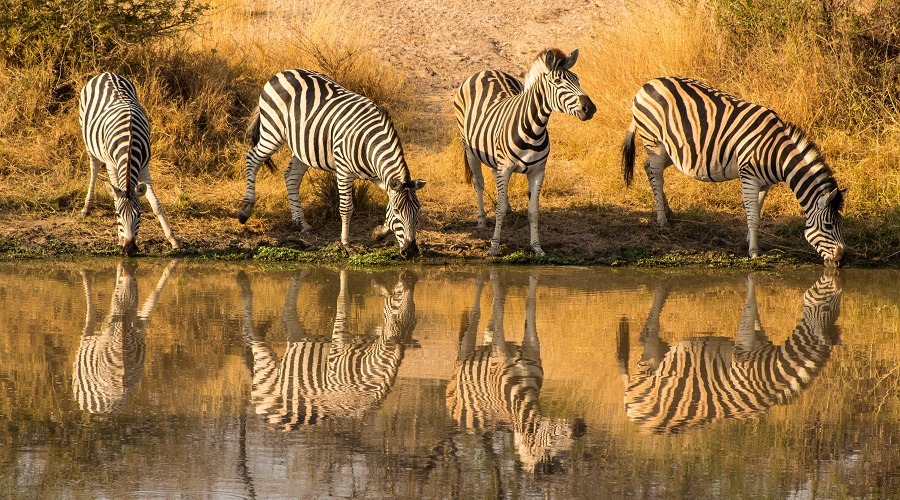 3 Days Tarangire Safari