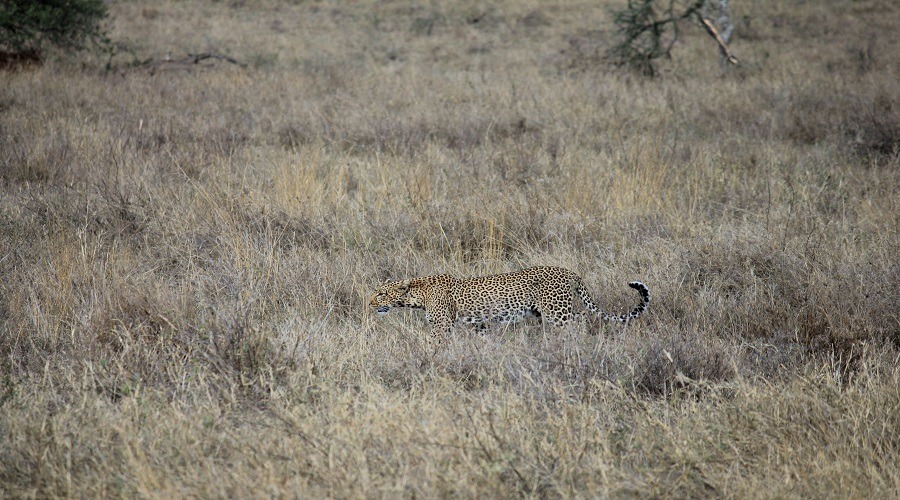 2 Days Ngorongoro Crater