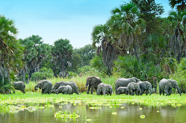 Mikumi Safari Itinerary