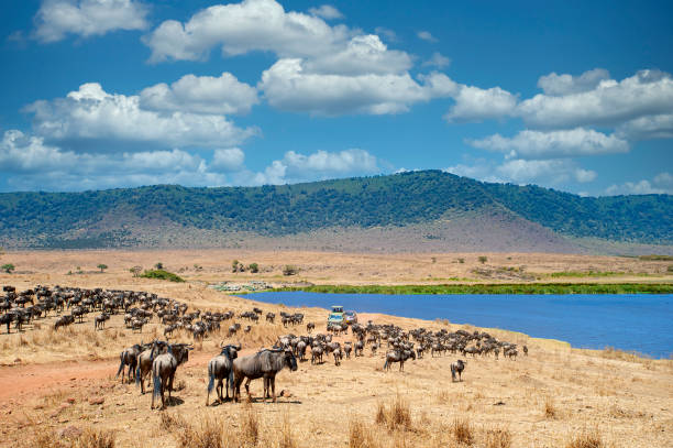 Lake Manyara and Tarangire