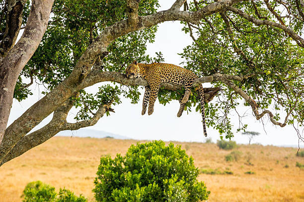 Nyerere National Park Boat Safari Itinerary