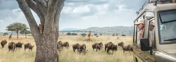Budget Selous Safari Tour Package