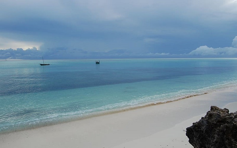 Mafia Island Diving Tour Tanzania Cost