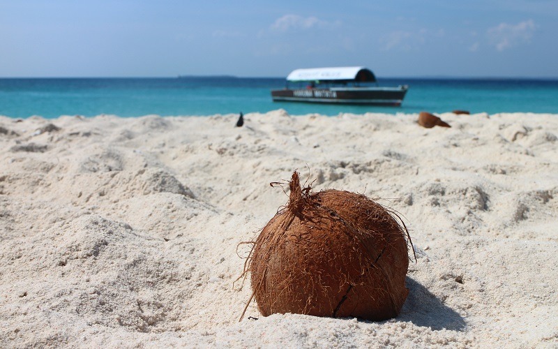 Pemba Island Honeymoon